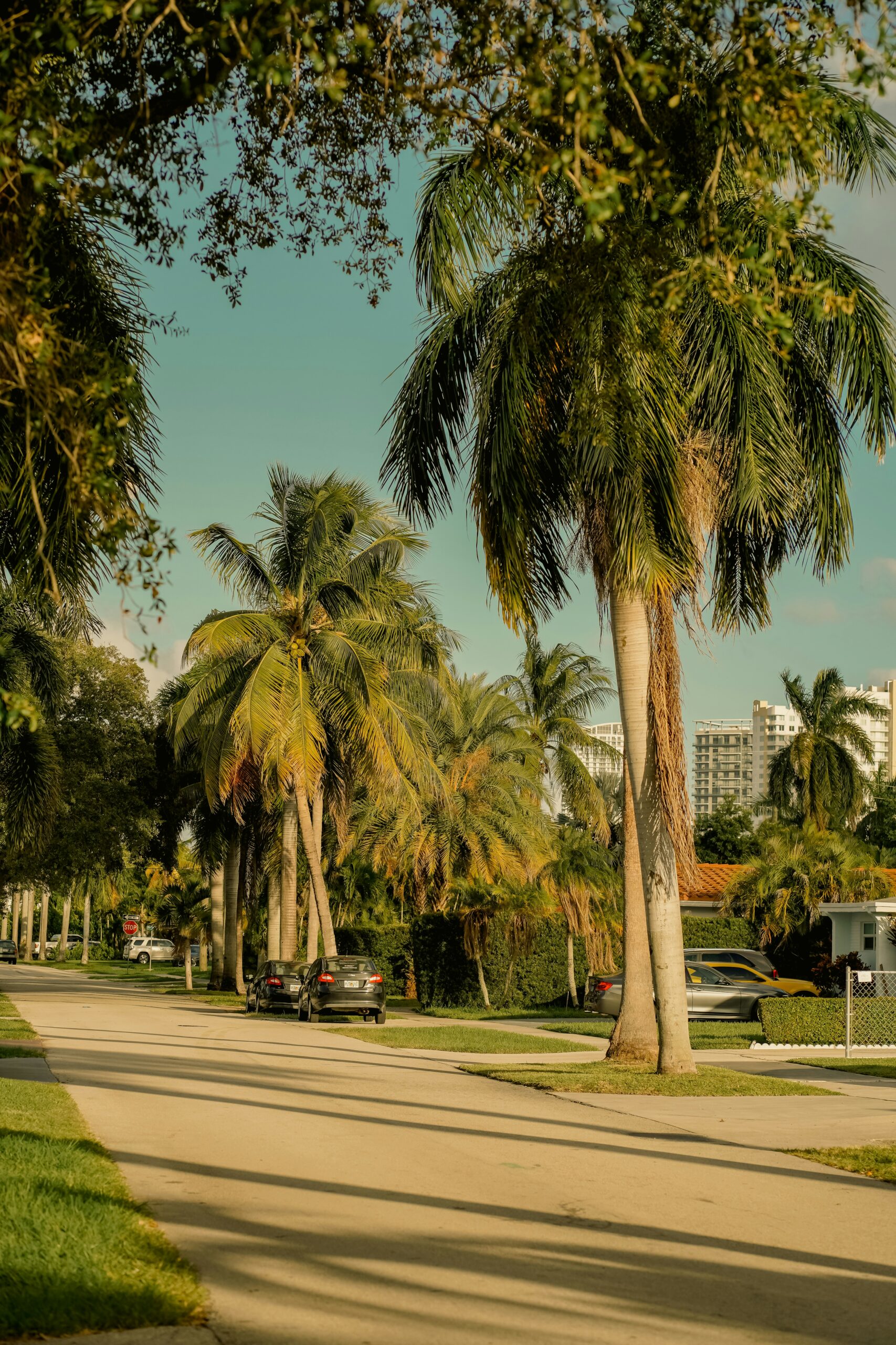 pasco fl real estate